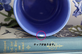 D-185-2-(12)チップ.jpg